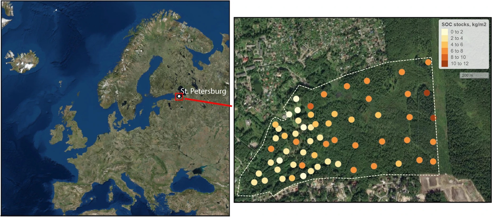 Map of the study site and the distribution of sampling locations